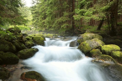 Vlies Fotótapéta - Tatra national park - 375x250 cm