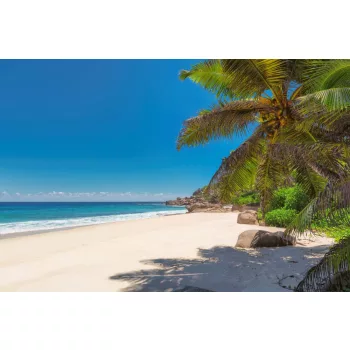 Vlies Fotótapéta - Tropical beach - 375x250 cm