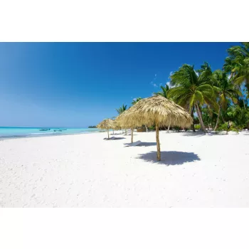 Vlies Fotótapéta - Beach with palm trees - 375x250 cm