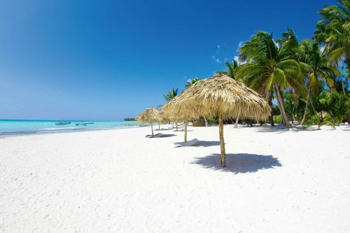 Vlies Fotótapéta - Beach with palm trees - 375x250 cm