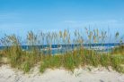 Vlies Fotótapéta - Grass at the beach - 375x250 cm