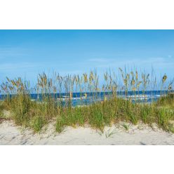 Vlies Fotótapéta - Grass at the beach - 375x250 cm