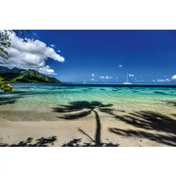 Vlies Fotótapéta - Moorea beach - 375x250 cm