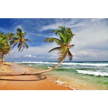 Vlies Fotótapéta - Beautiful beach - 375x250 cm