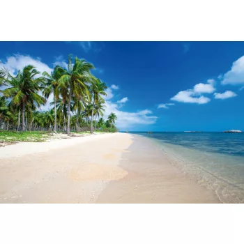 Vlies Fotótapéta - Palms on the beach - 375x250 cm
