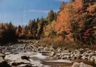 Poszter 1015-ös, Hegyi patak ősszel, panoráma poszter (384x 263 cm)