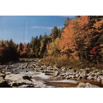   Poszter 1015-ös, Hegyi patak ősszel, panoráma poszter (384x 263 cm)