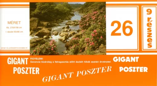 Poszter 26-9G, Hegyi patak, virágok (276x 198 cm)