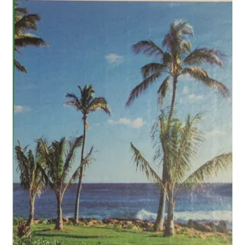 Poszter 622-6G, Óceánpart pálmafákkal (184x 198 cm)