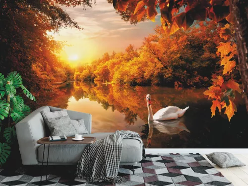 Fotótapéta White Swan On Autumn Pond, 368 x 254 cm