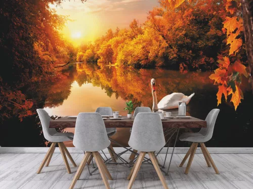 Fotótapéta White Swan On Autumn Pond, 368 x 254 cm