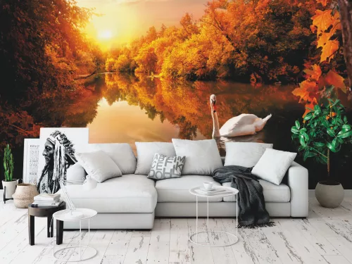 Fotótapéta White Swan On Autumn Pond, 368 x 254 cm