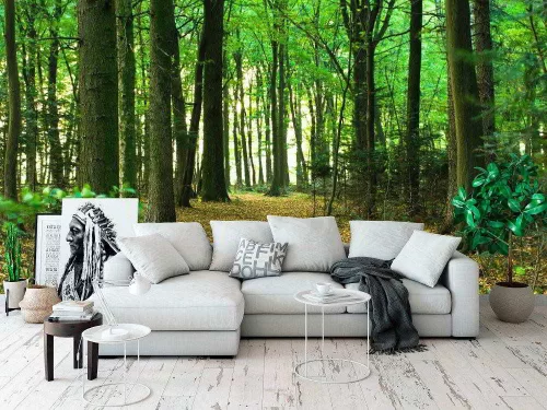 Fotótapéta Sunlight in the Green Forest, 368 x 254 cm
