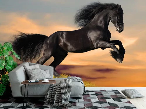 Fotótapéta Black Friesian Horse in Sunset, 368 x 254 cm