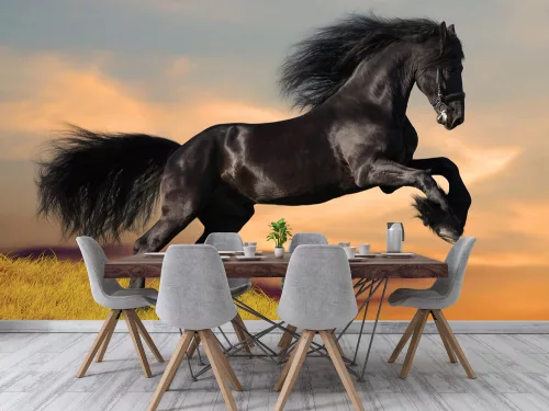 Fotótapéta Black Friesian Horse in Sunset, 368 x 254 cm