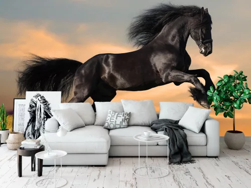 Fotótapéta Black Friesian Horse in Sunset, 368 x 254 cm