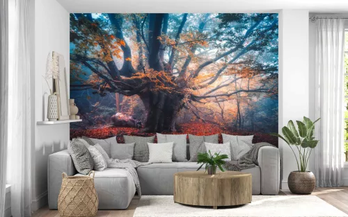 Fotótapéta Old Magical Tree, 368 x 254 cm
