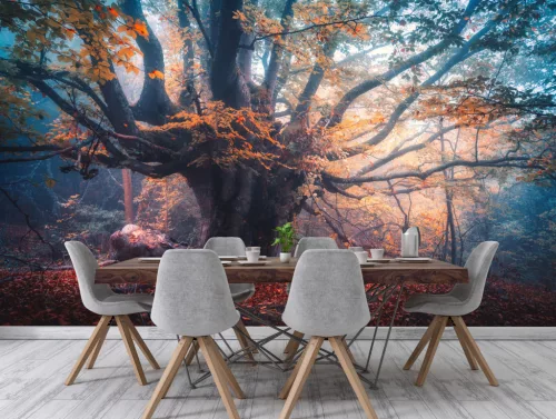 Fotótapéta Old Magical Tree, 368 x 254 cm