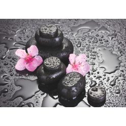   Fotótapéta Spa Stones with Drops and Pink Sakura Flowers, 368 x 254 cm