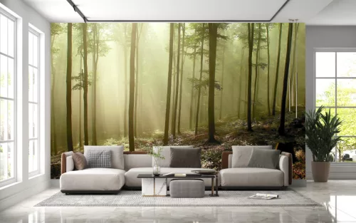 Fotótapéta Misty Autumn Forest , 368 x 254 cm