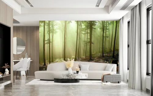 Fotótapéta Misty Autumn Forest , 368 x 254 cm