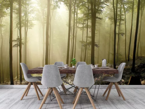 Fotótapéta Misty Autumn Forest , 368 x 254 cm