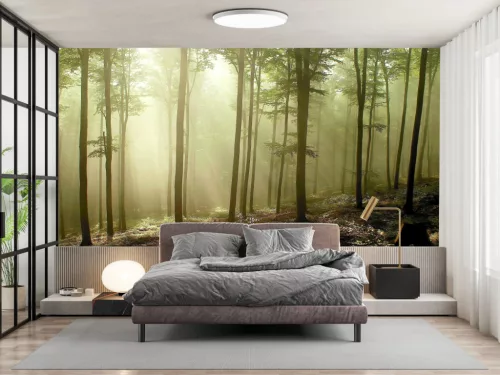 Fotótapéta Misty Autumn Forest , 368 x 254 cm