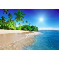 Fotótapéta Caribbean beach, sea and palms, 368 x 254 cm