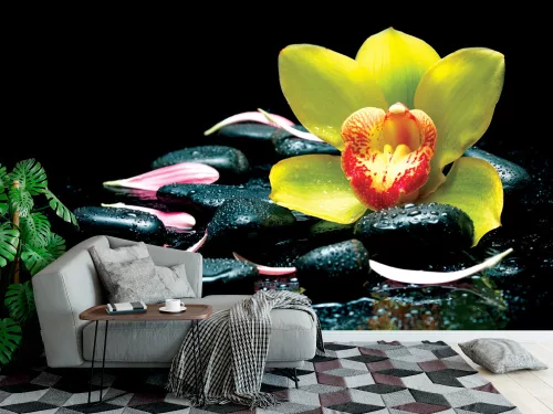 Fotótapéta Spa Zen Stones, 368 x 254 cm