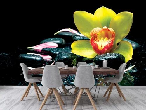Fotótapéta Spa Zen Stones, 368 x 254 cm