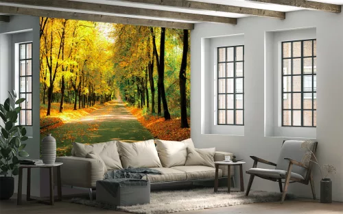 Fotótapéta Sunny day in the Autumn Park, 368 x 254 cm