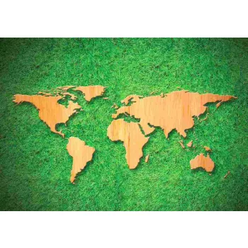   Fotótapéta Wood World Map on Green Grass Background, 368 x 254 cm