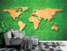 Fotótapéta Wood World Map on Green Grass Background, 312 x 219 cm