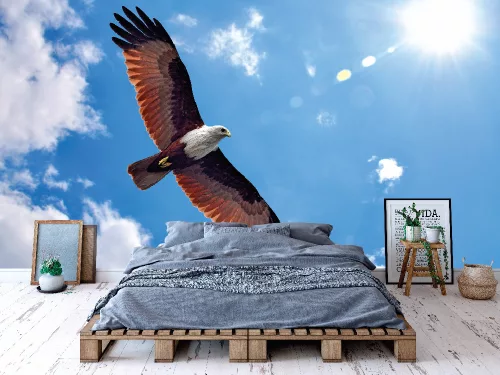 Fotótapéta Brahminy Kite, 368 x 254 cm
