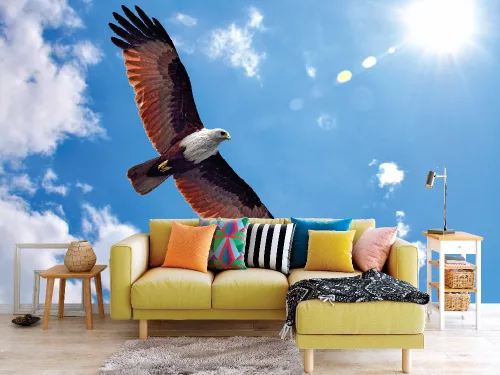 Fotótapéta Brahminy Kite, 368 x 254 cm