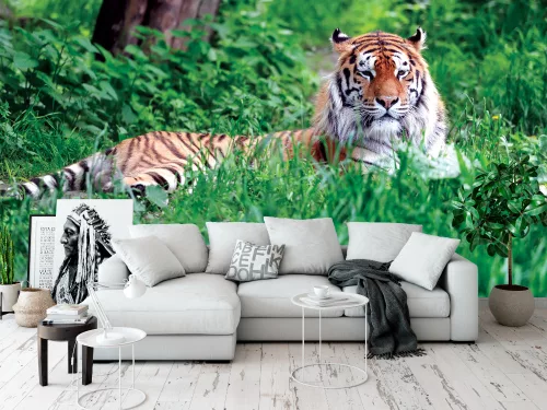 Fotótapéta Amur Tiger on Green Grass in Summer Day, 368 x 254 cm