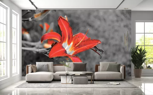 Fotótapéta Flower, 368 x 254 cm