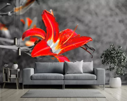 Fotótapéta Flower, 368 x 254 cm