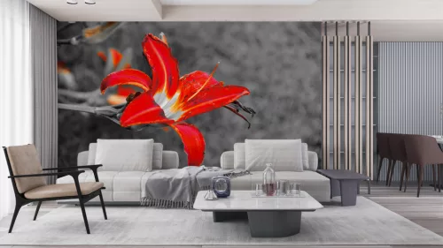 Fotótapéta Flower, 368 x 254 cm
