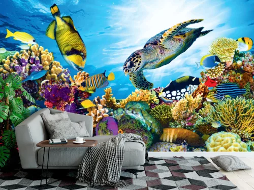 Fotótapéta Coral Reef With Fishes And Sea Turtle , 368 x 254 cm