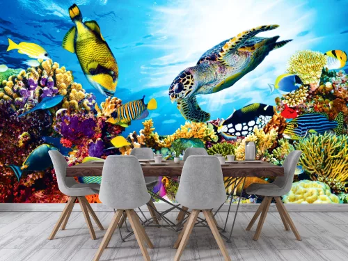 Fotótapéta Coral Reef With Fishes And Sea Turtle , 368 x 254 cm