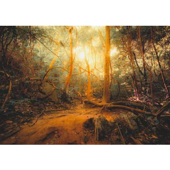 Fotótapéta Fantasy Jungle Forest, 368 x 254 cm