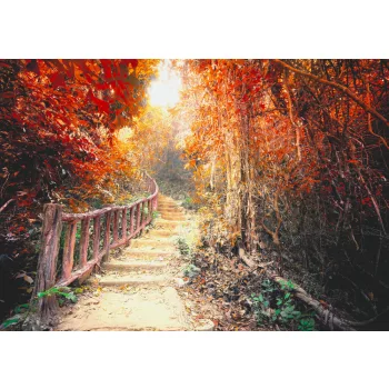 Fotótapéta Pathway In The Fantasy Forest, 368 x 254 cm