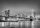 Fotótapéta Brooklyn Bridge and Manhattan Downtown Skyline Black and White, 312 x 219 cm