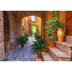   Fotótapéta Plants in Pots on Narrow Streets of the Ancient City of Spello, 368 x 254 cm