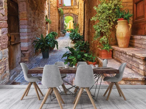 Fotótapéta Plants in Pots on Narrow Streets of the Ancient City of Spello, 368 x 254 cm