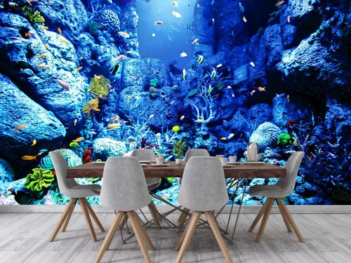 Fotótapéta Underwater World, 368 x 254 cm