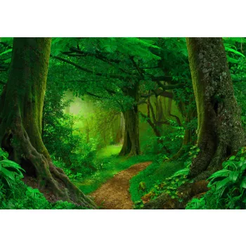 Fotótapéta Deep Tropical Jungle, 368 x 254 cm