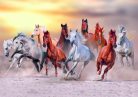 Fotótapéta Horses Run Gallop in Dust Against Sunset Sky, 416 x 254 cm