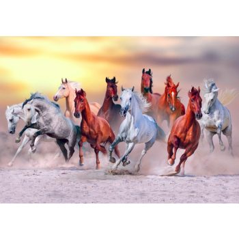   Fotótapéta Horses Run Gallop in Dust Against Sunset Sky, 368 x 254 cm